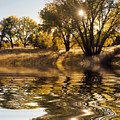 Fall Reflections
